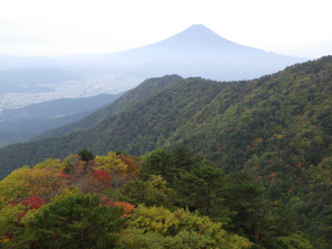 色づき始めた木々と富士山